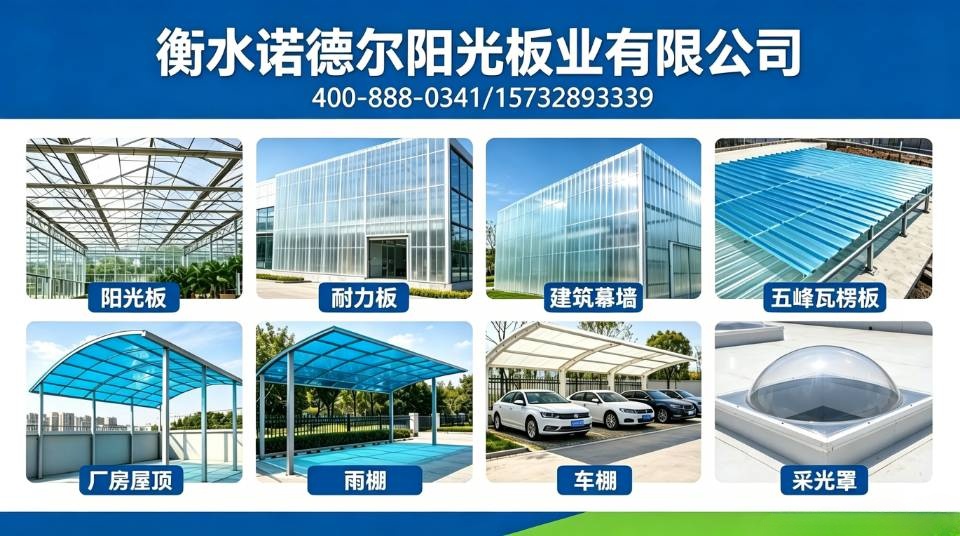 安平阳光板项目交付实录：从选型到落地的全流程解析